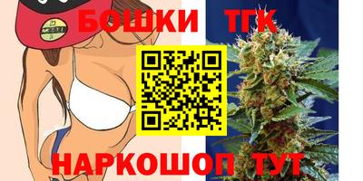 тгк Можга